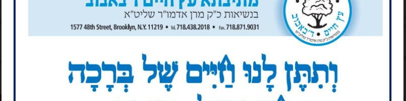 bobov nitel header